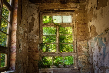 Fototapeta na wymiar Fenster mit Bewuchs - Beatiful Decay - Verlassener Ort - Urbex / Urbexing - Lost Place - Artwork - Creepy - High quality photo