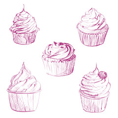 Cute cupcakes set isolated on White background. Vector illustration. cupcake vector sketch on a white background