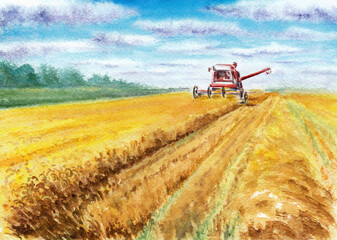 Fototapeta premium The combine harvests wheat. Yellow field and cloudy sky in the distance. Hand drawn watercolors on paper textures. Raster
