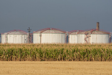Fototapeta na wymiar Oil and gas industry, tanks for liquid gas and crude oil