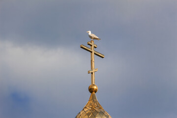 a gilded cross on the dome of the church with a seagull sitting on top against a cloudy sky