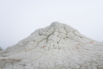 wall