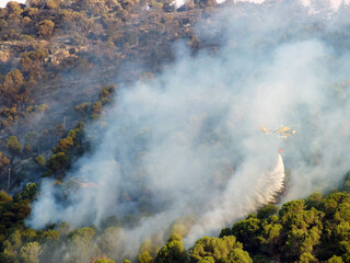 Incendio forestal