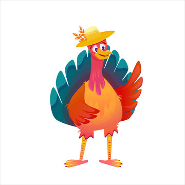 Cartoon turkey thanksgiving character vector illustration isolated. Funny bird with hat character. Autumn bird cute turkey
