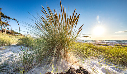 küste © Klaus Haase 