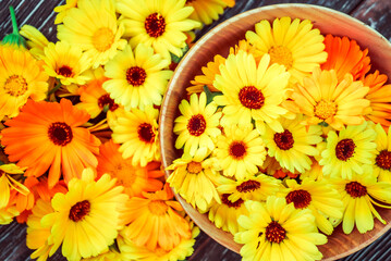 healthy bright yellow flowers of medicinal calendula in a bowl made of wood on a brown wooden table