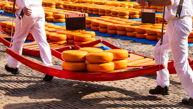 Cheese carriers on the cheese market in the Dutch city of Alkmaar.