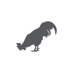Obraz premium Rooster silhouette icon. Male cock side view. Vector illustration. chicken logo vector. 