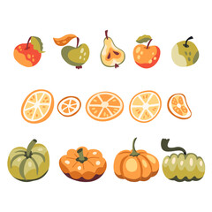 Set of autumn harvest, pumpkins, apples, citruses
