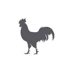 Rooster silhouette icon. Male cock side view. Vector illustration. chicken logo vector. 