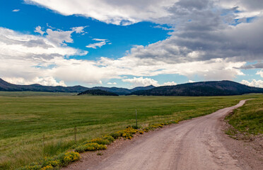 Lonely Forest Road In The Valles Caldera Preserve In New Mexico