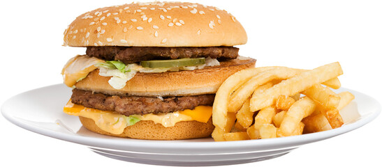 Fast Food Hamburger And Fries - obrazy, fototapety, plakaty