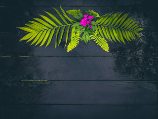 Tropical leaves on a wooden background
