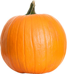 Pumpkin: Single Pumpkin on White