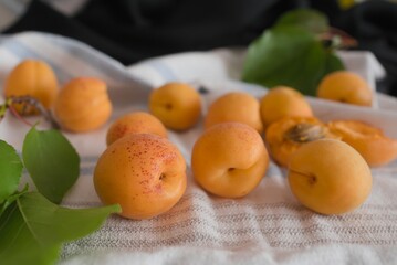 apricots on a plate