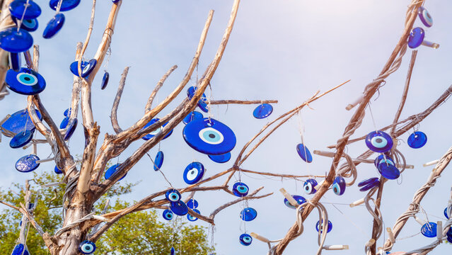 evil eye beads hanging on a tree branch, close up