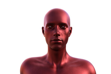 3D render. Portrait of a red bald man on a white background. 
