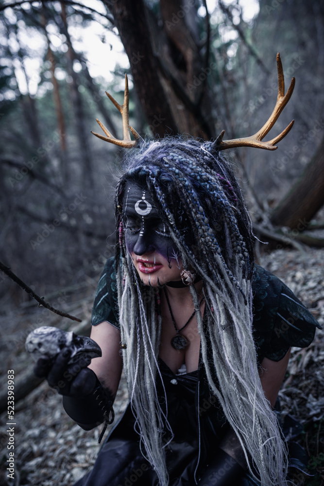 Wall mural Forest witch in a pine forest