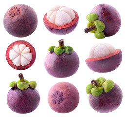 Isolated mangosteen collection. Set of whole and cut mangosteen fruit isolated on white background