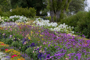 The beautifulThe beautiful blooming summers garden