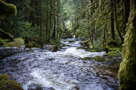 The river flows