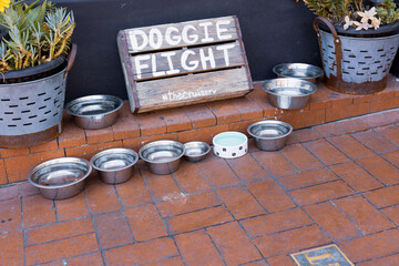 state street, doggie flight
