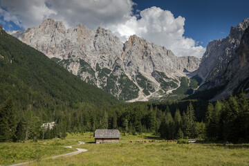 Fototapeta na wymiar alpine pasture below the mountains in the Julian Alps