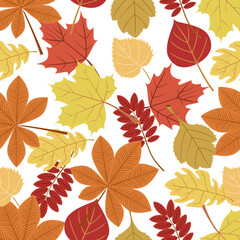 Autumn pattern,leaves of maple,oak,rowan, birch trees on a white background.Vector pattern can be used in textiles, postcards, autumn store designs.