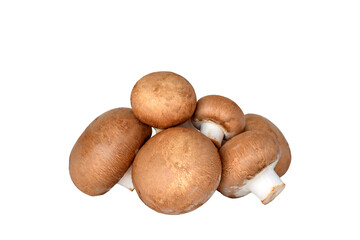 Group of brown Cremini mushrooms isolated cutout