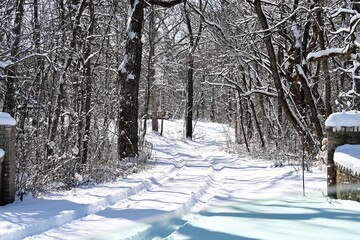 Fototapeta premium Tracks in Snowy Driveway
