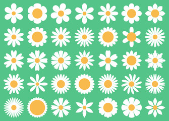 Cartoon daisy flowers. Different primitive chamomiles, decorative white simple plants, various petals, summer blossom round icons, decor elements, tidy vector isolated botanical set