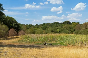 Tuinposter Dried out Hollow Ponds marshland due to drought © Travers