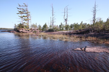 Inlet on an island in Lake Isabella in Boundary Waters Canoe area and wilderness