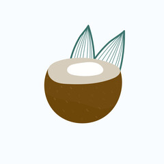  coconut isolated on white background