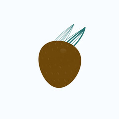  coconut isolated on white background