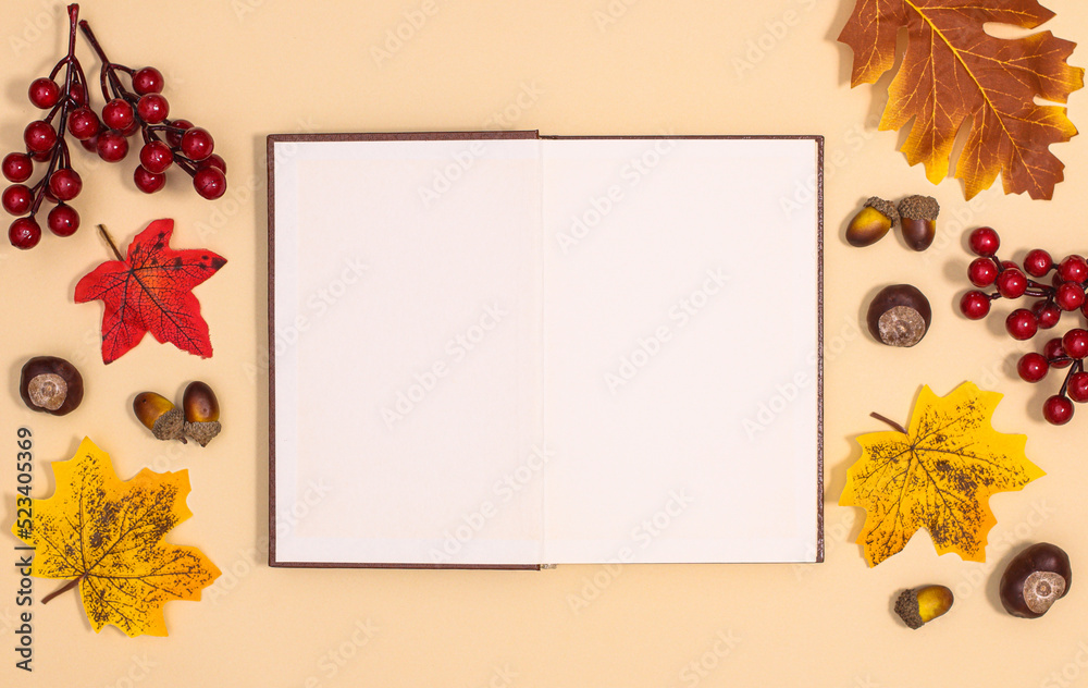 Wall mural open copy space book surrounded by autumn decorations on beige background. flat lay