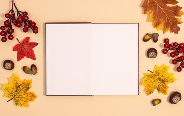 Open copy space book surrounded by autumn decorations on beige background. Flat lay