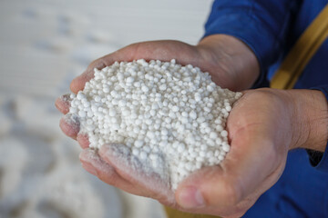Plant worker holds granules of nitrogen fertilizer.