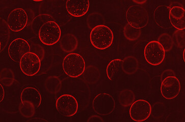 red background with particles. abstract background