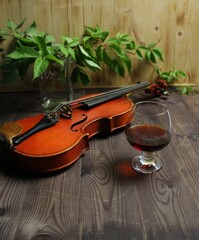 Fototapeta na wymiar still life of violin and brandy glass, green plant on wooden background