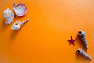 seashells on an orange background. sea mood. background for recreation and tourism. holiday by the...