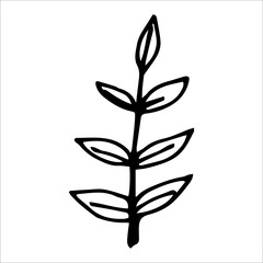 Vector single element rowan leaf black silhouette.