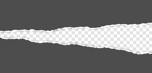 Torn cardboard. Realistic, torn, ripped strip of dark grey paper with a light shadow on a transparent background.