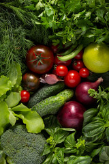 Fresh vegetables with herbs collection at table. Natural healthy homemade food diet concept