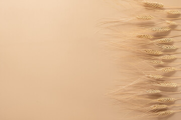 Ears of wheat and bowl of wheat grains on brown background