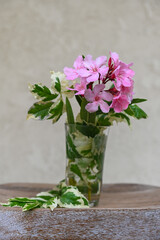 Bright pink rhododendron with light green leaves in a glass of water with a light background
