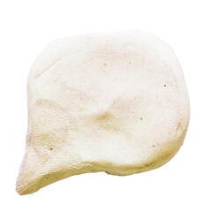 plasticine speech bubble  on isolated background