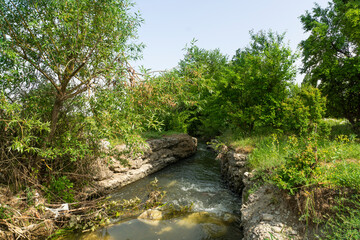 river , nature 