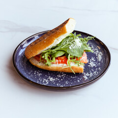 Fresh sandwich with salmon, greens and cheese on plate  