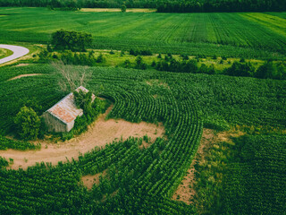 Abandoned Rural Summertime Farm in WI